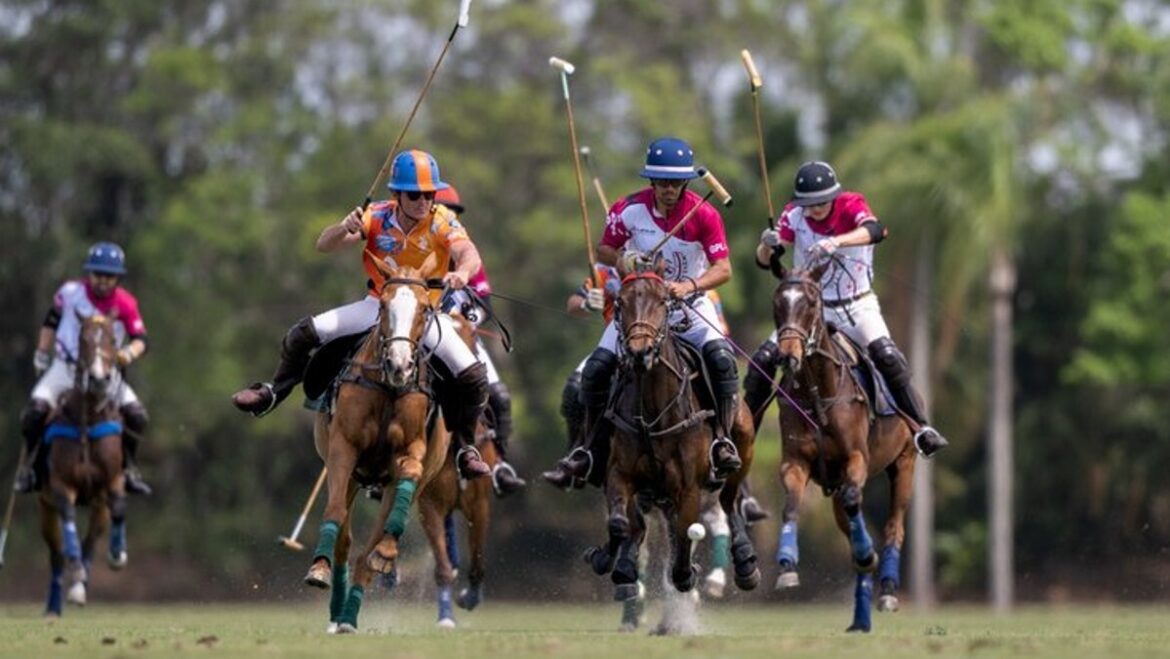 GPL The GPL is an official USPA recognized Polo club.